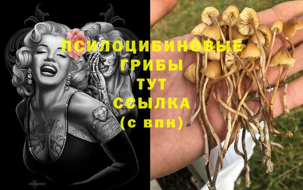 марки lsd Ельня