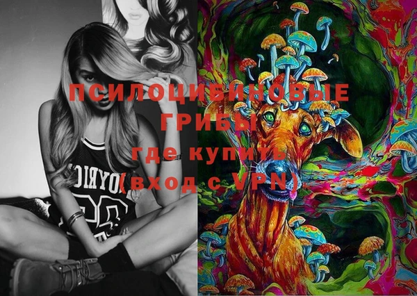 марки lsd Ельня