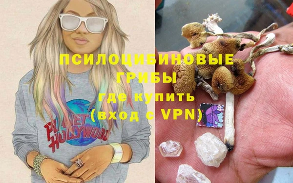 стафф Елабуга