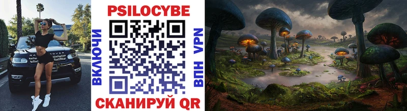 Псилоцибиновые грибы мухоморы Енисейск