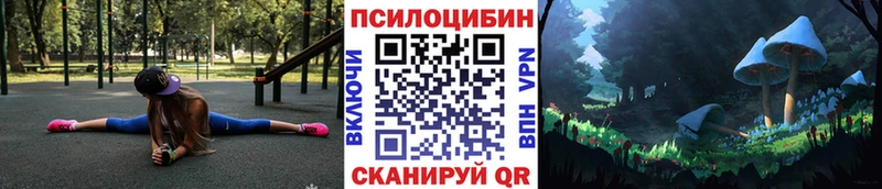 Купить где  Енисейск  Псилоцибиновые грибы прущие грибы 